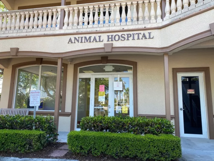 Island Animal Hospital, Florida, Marco Island